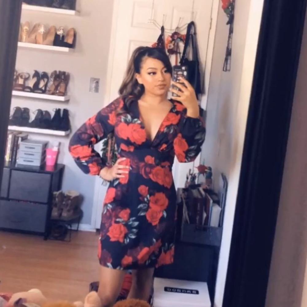 Red Rose Mini Dress